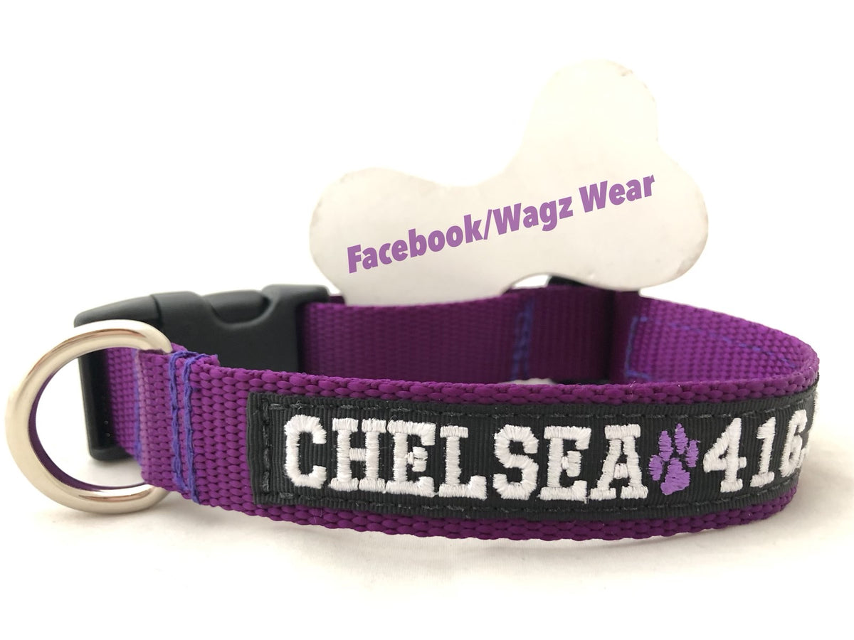 Dog collar with name and number best sale