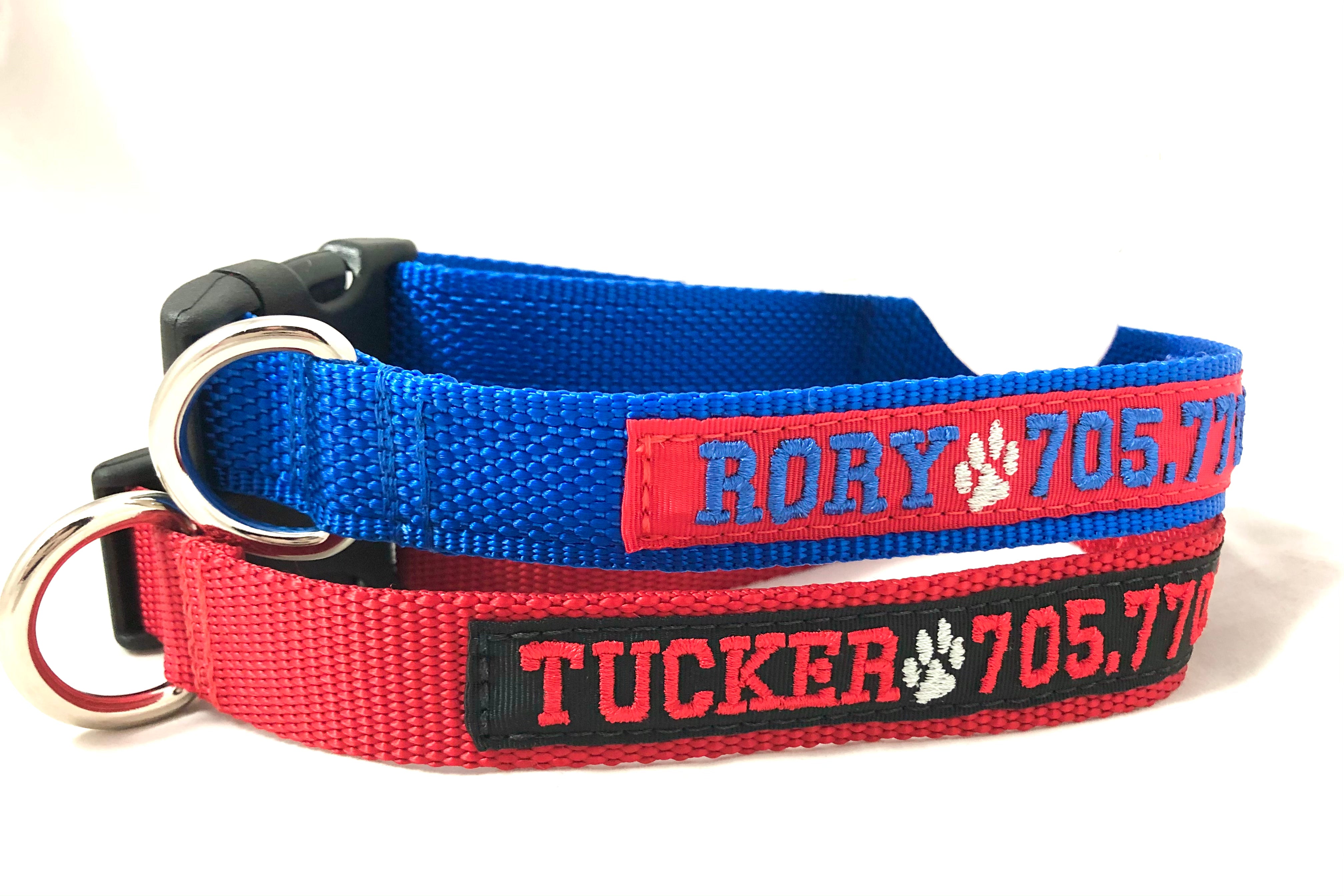 Dog collars with clearance name tag built in